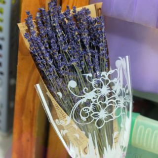 Bó hoa lavender khô