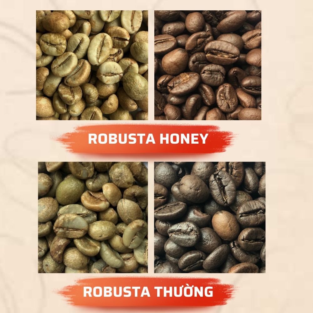 [GÓI 250Gram] Cà phê ROBUSTA nguyên chất rang mộc 100% pha phin vị đắng đậm thơm nồng truyền thống từ Message Coffee | BigBuy360 - bigbuy360.vn