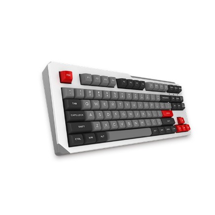 Bàn phím cơ Akko Designer Studio MOD001 - Grey Parrot Psittacus
