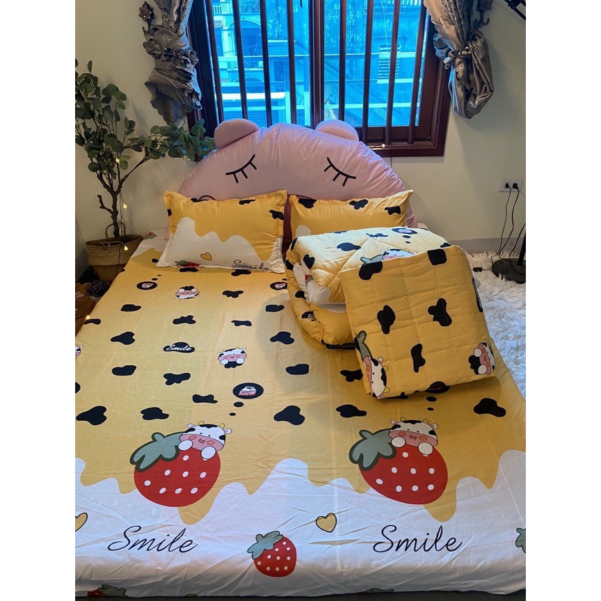 Ga + Gối poly sét 3 món poly cotton không xù không phai màu - Sét 3 món ga bo chun + 2 vỏ gối Ấm Êm Decor | BigBuy360 - bigbuy360.vn