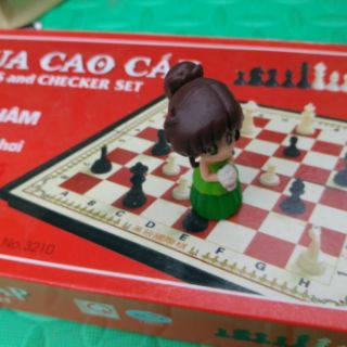 Bộ cờ vua nam châm cao cấp 28cm×28cm