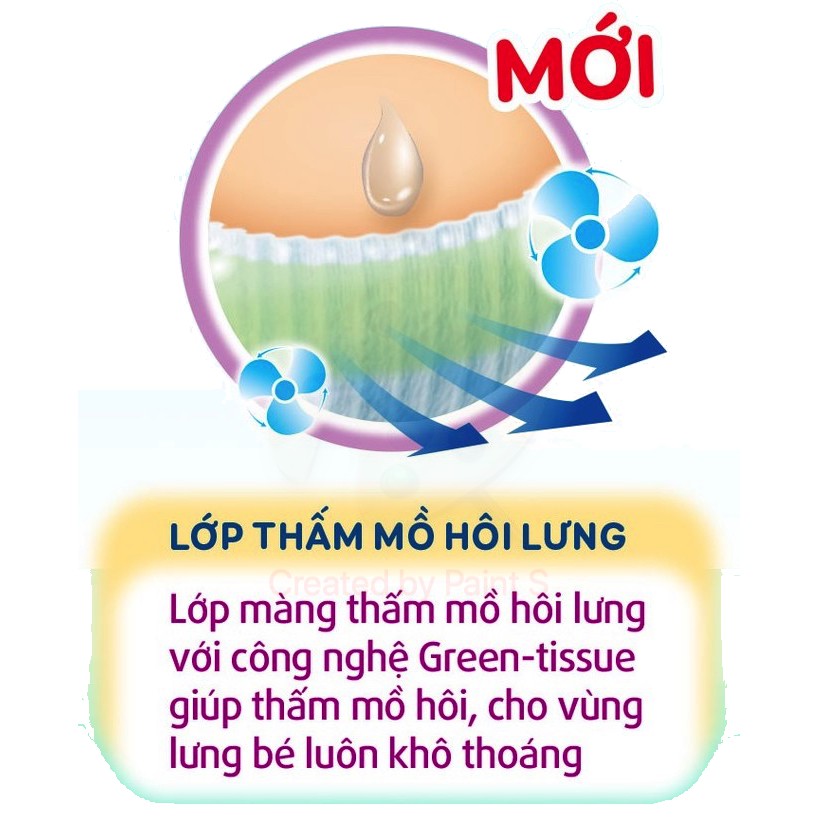 [MẪU MỚI ĐỆM LƯNG XANH] TÃ QUẦN BOBBY BỊCH ĐẠI M62/L54/XL48/XXL44 BỊCH TRUNG L38/XL34