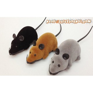 [DAILYTOY] K12 chuột điều khiển từ xa