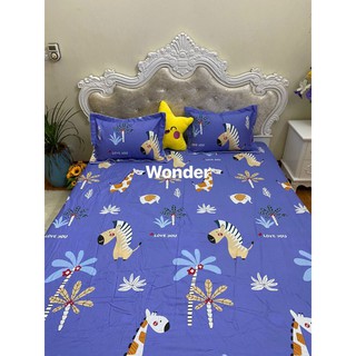 Sét ga gối cotton 100% Hàn Quốc