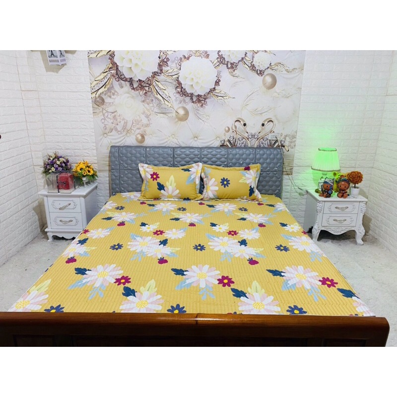 Combo 2 bộ ga gối cotton trần 1m6