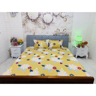 Combo 2 bộ ga gối cotton trần 1m6