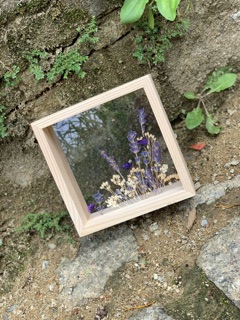 Khung ảnh hoa lavender