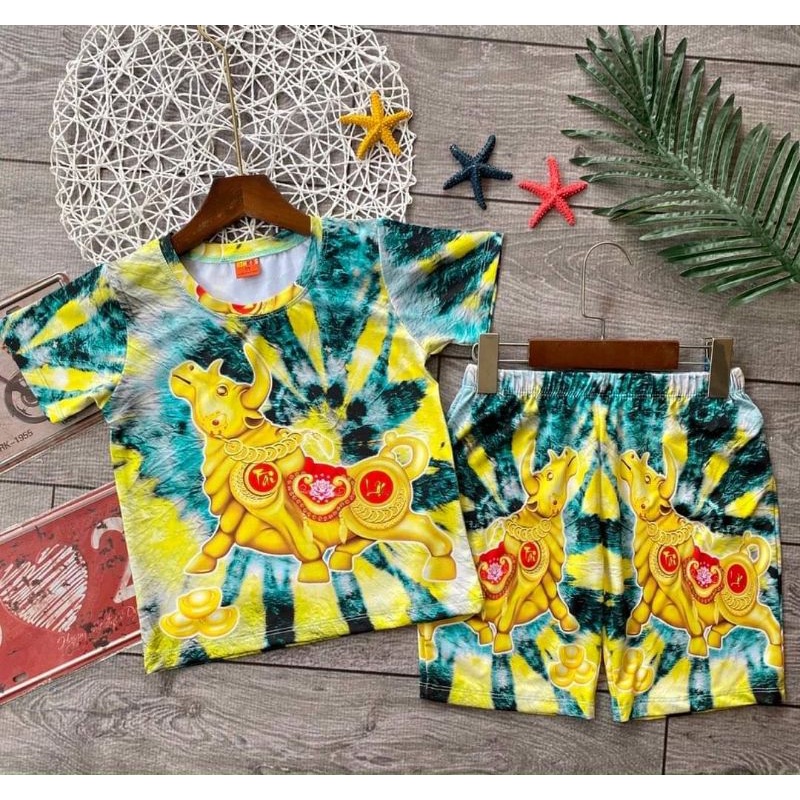 Bộ tay ngắn quần đùi thun 3d hàng shop cho bé size đại