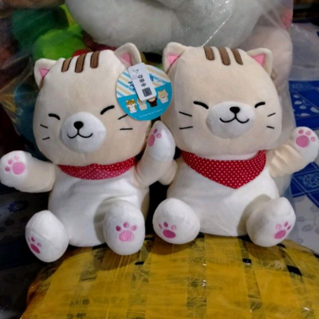 Gấu của hien