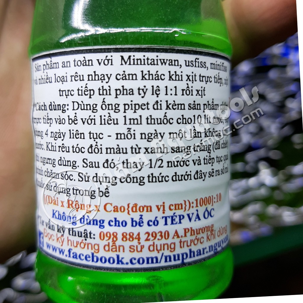 Nuphar - Diệt Rêu Tóc | Chế Phẩm Đặc Trị Rêu Tóc Và Kiểm Soát Mọi Loại Rêu Hại