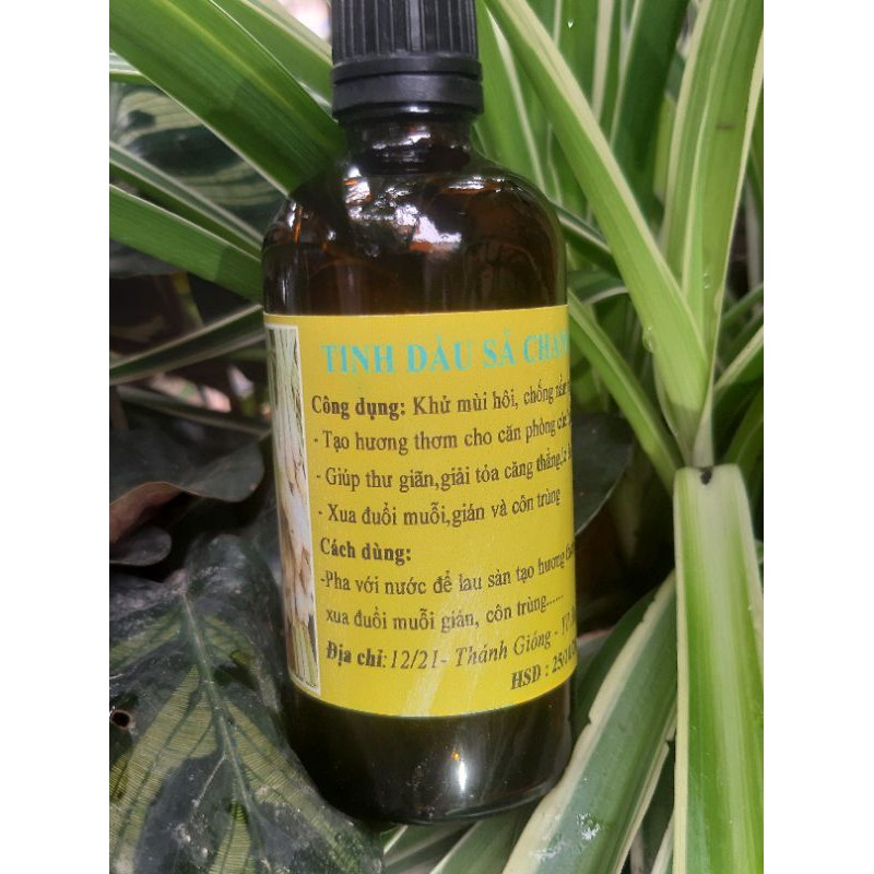 tinh dầu sả chanh xông phòng 100ml