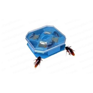Hộp bẫy gián siêu nhậy