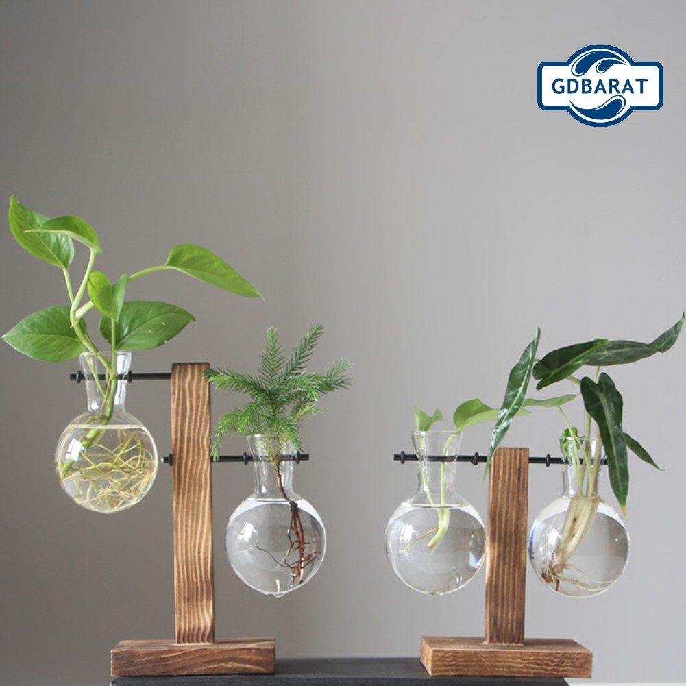 Chậu Hoa Bằng Thủy Tinh Trong Suốt Kèm Khung Gỗ Độc Đáo Tiện Dụng