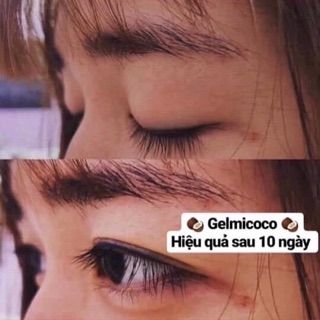 🥥🥥 GELMICOCO 🥥🥥