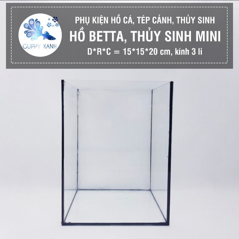 Hồ betta , hồ thủy sinh mini 15*15*20