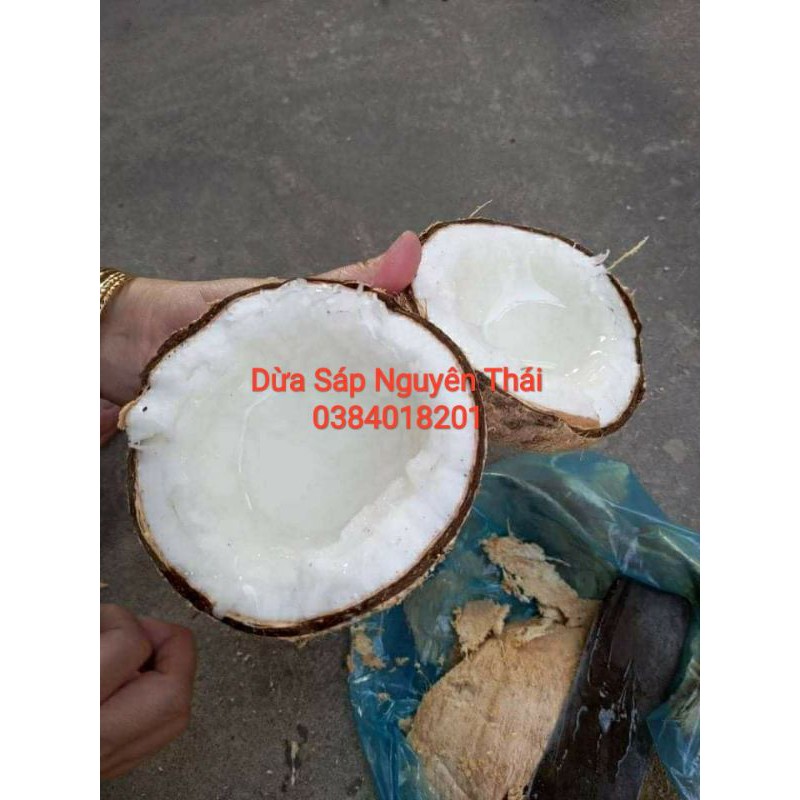 Dừa Sáp Trà Vinh_99k_Đặc sản 3 Miền_ chính gốc