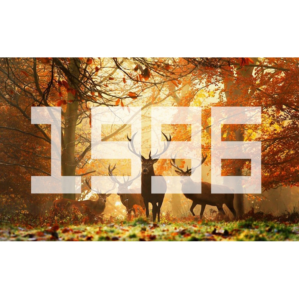 Áo thun in năm sinh