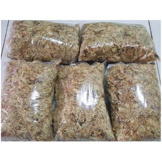 Dớn trắng trồng lan, dớn Chile (dớn mềm) 100gr