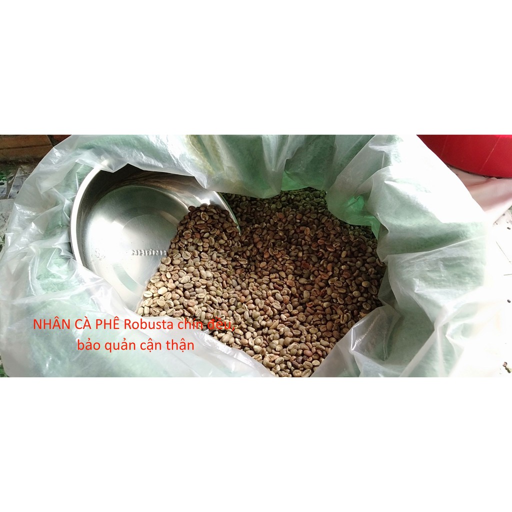 Cà phê nguyên chất rang MỘC – 250Gr Bột Cafe pha PHIN đậm vị Robusta Đăk Lăk | BigBuy360 - bigbuy360.vn