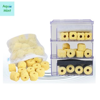 Sứ Trụ Vàng (100Gr)