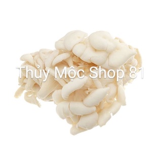 1Kg NẤM BÀO NGƯ TRẮNG