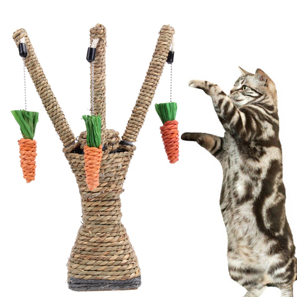 Pet Cat Đồ chơi Tương tác Dây bông Dệt kim Cà rốt Làm sạch Đồ chơi