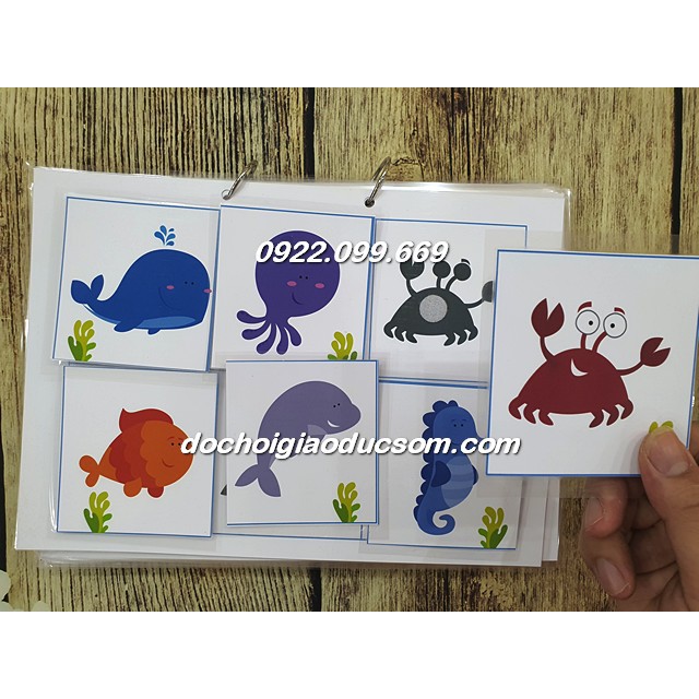 HỌC LIỆU CHO BÉ Tìm hình bóng- matching shadow