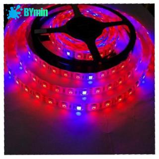 Dây Đèn Led 5m 12v Hỗ Trợ Nuôi Trồng Cây