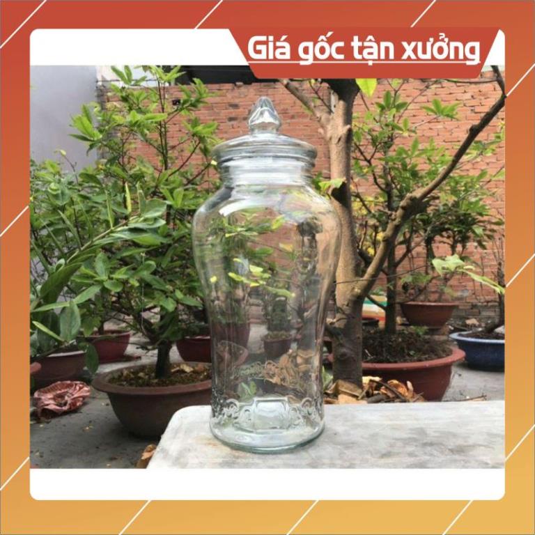 Bình thủy tinh 10 lít sâm chân mây  &  *BAO BỂ VỠ*