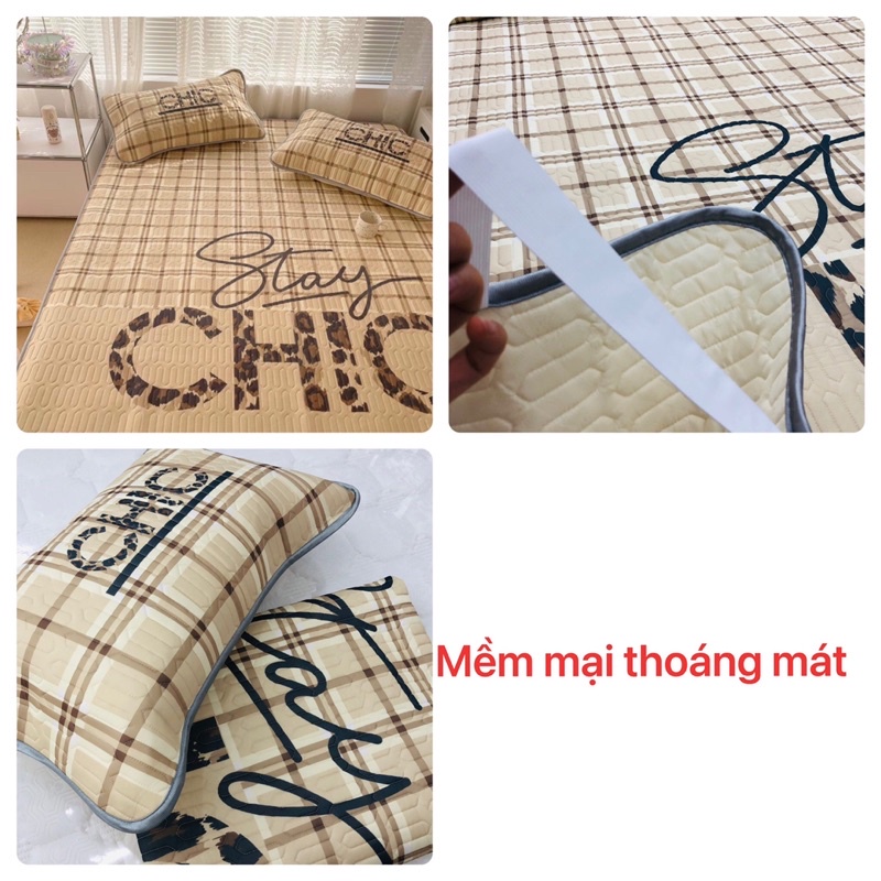 Bộ Chiếu Điều Hoà và 2 vỏ gối cao su non Latex 5D mát lạnh hàng dày siêu cấp mẫu mới 2021