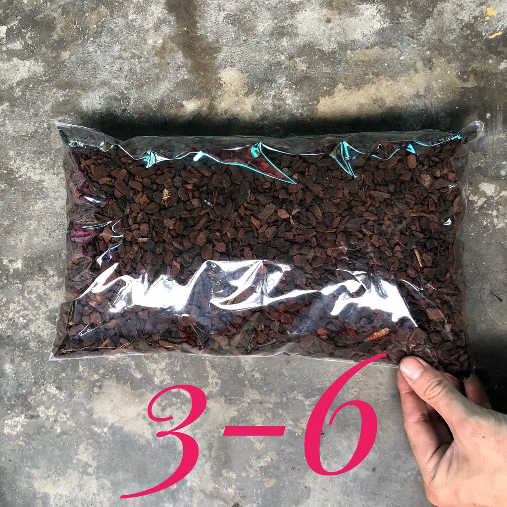 1kg vỏ thông orchiata