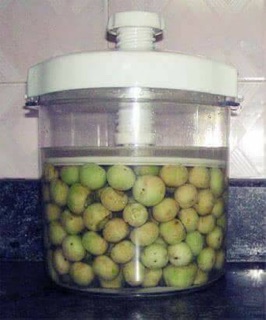 Hộp muối dưa cà thông minh
