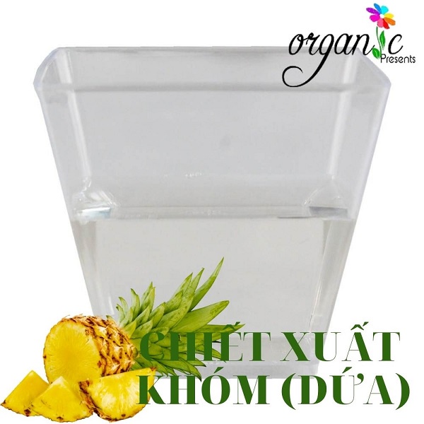 CHIẾT XUẤT QUẢ KHÓM (DỨA)