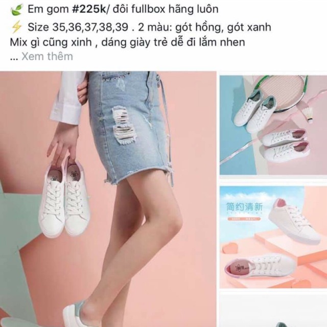 Combo Túi Giày