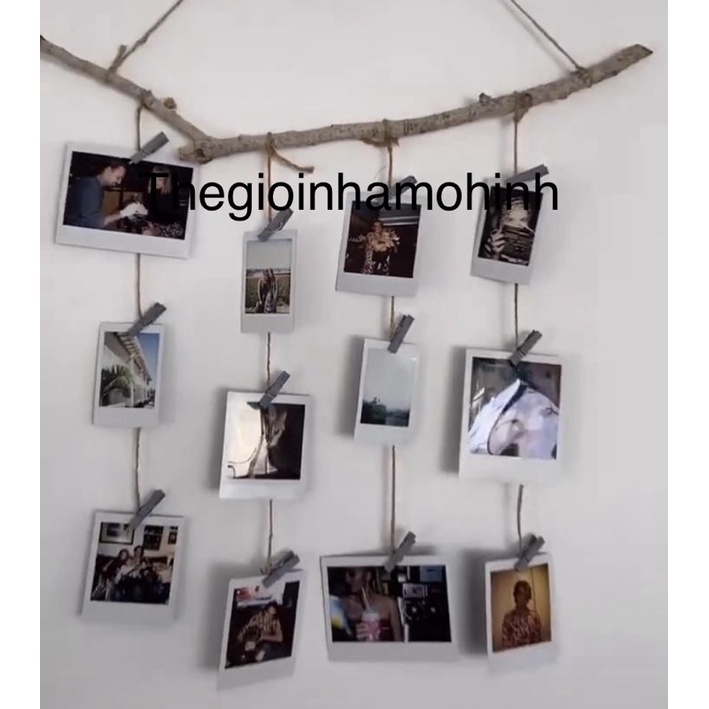 Cành gỗ treo ảnh decor trang trí không gian