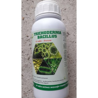 Nấm đối kháng Trichoderma