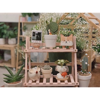 Kệ gỗ 2 tầng nhỏ trưng bày cây cảnh, đồ dùng cá nhân, Kệ gỗ đa năng gấp gọn tiện lợi - Decor Fancy