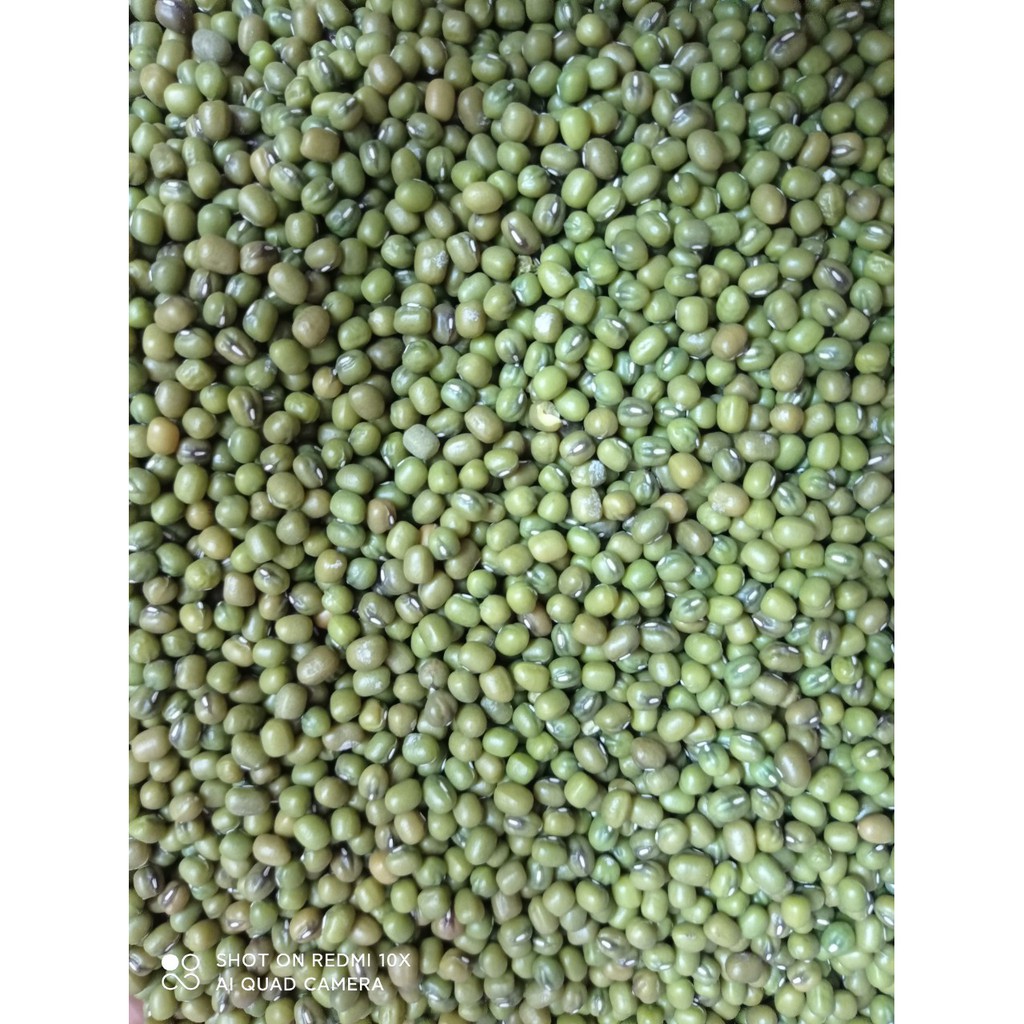Hạt Đậu xanh/ đỗ xanh nguyên vỏ/ Đỗ xanh quê đóng gói hút chân không gói 500g