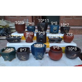 Combo 15 chậu bonsai siêu đẳng cấp