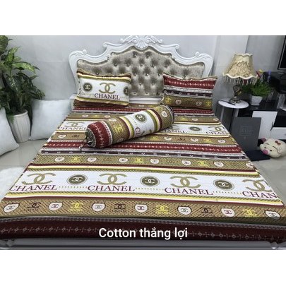 set cotton hàn quốc + mền m6=630k, m8=650k