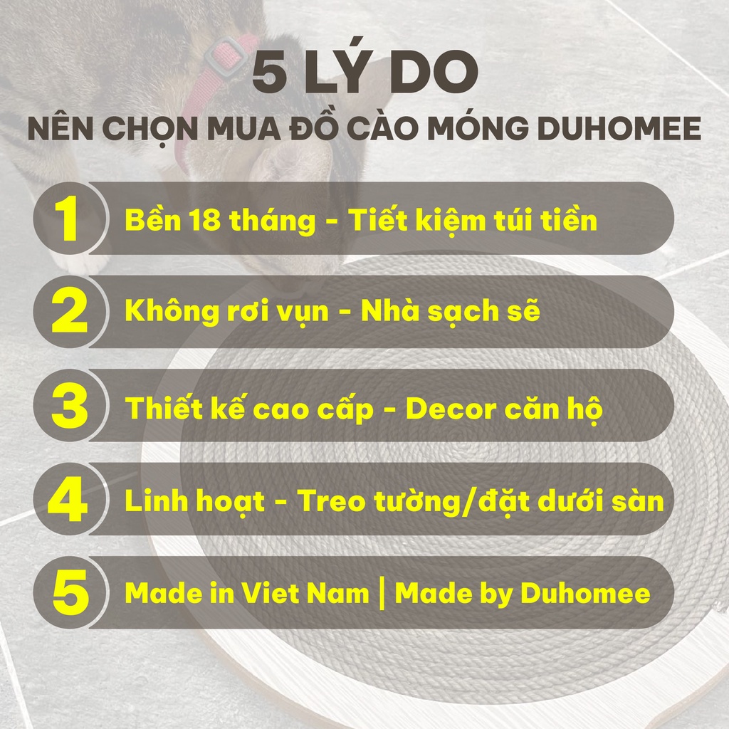 Bàn cào móng cho mèo mix ngũ săc - Duhomee