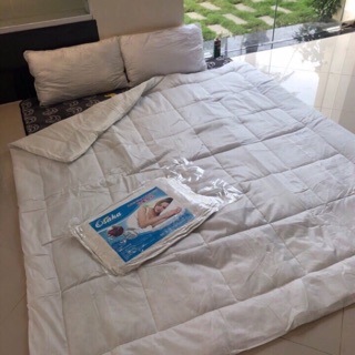 [Cao cấp] Ruột Chăn Bông Tấm Mỏng Siêu Mềm _Shinbedding_