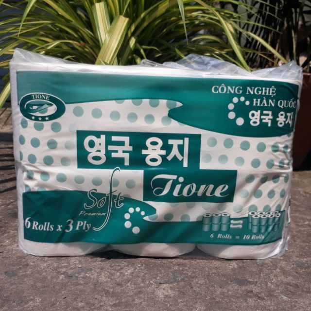 Giấy đặc ruột Tione