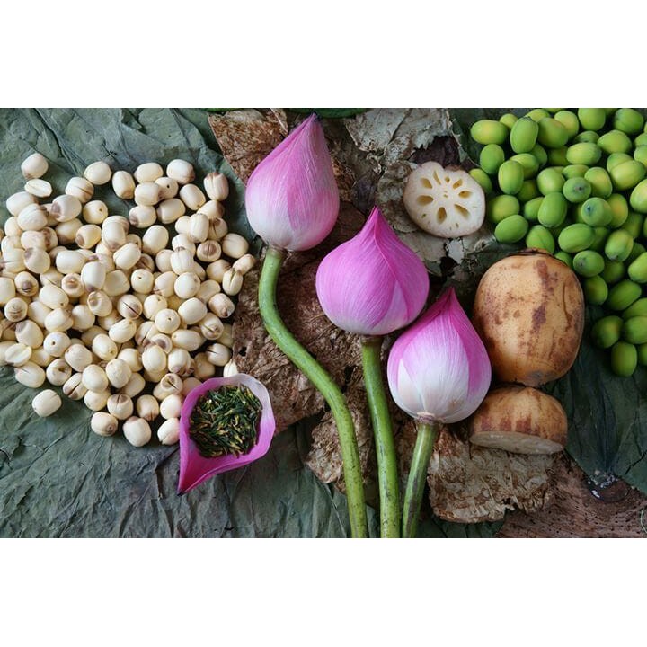 250gr Hạt Sen Khô Hữu Cơ SallyFood Hàng Loại 1 Sấy Sạch Huế / Đồng Tháp - Nông Sản Quê Shop
