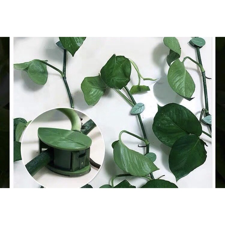 Nẹp Cây Cảnh, Dây Điện Dán Tường Keo Nano Siêu Dính Trang Trí Nhà Cửa Gọn Gàng Với Hình Chiếc Lá Độc Đáo