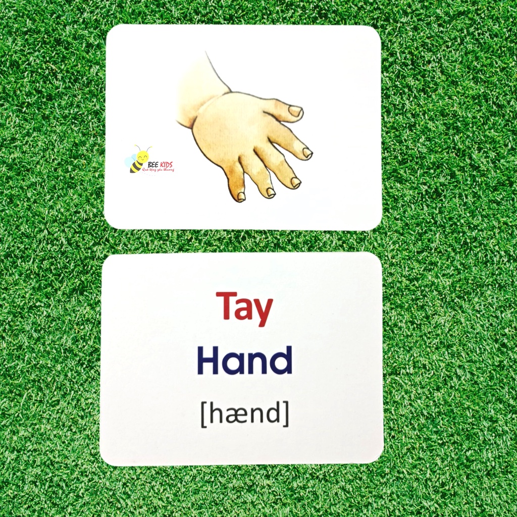 Thẻ Học Thông Minh Flashcards Chủ Đề Bản Thân Và Gia Đình Cho Bé BEEKIDS