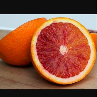 Cây cam cara ruột đỏ ko hạt