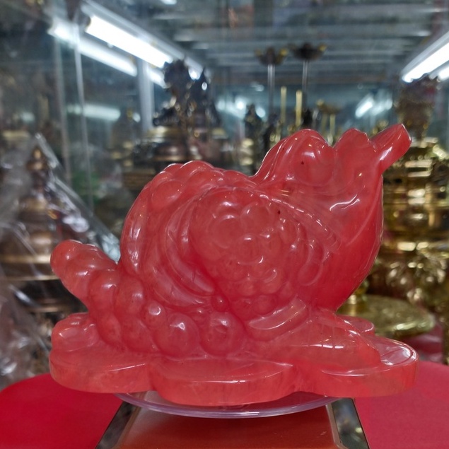Tượng Cóc 3 Chân, Thiềm Thừ Ngầm Tiền Phong Thuỷ Chiêu Tài Lộc Đá Thach Anh Đỏ - Nặng 900 g