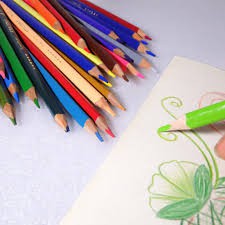 Bút chì màu gỗ We Fish Yplus 24 màu tẩy được TC1802