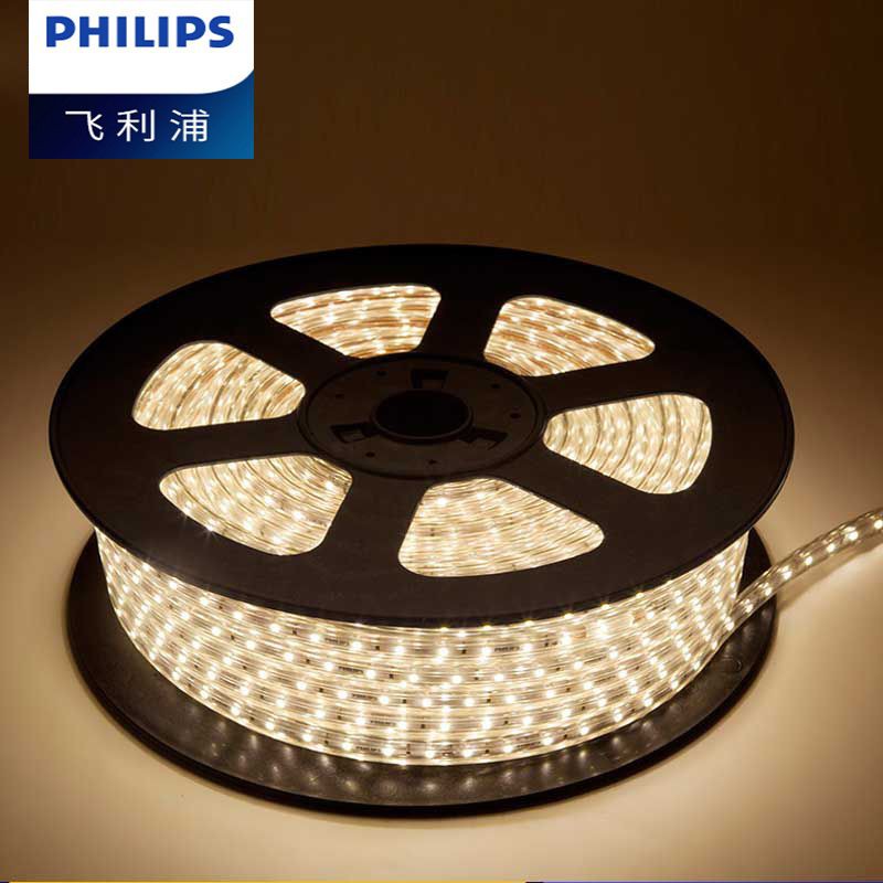 Dây led, đèn trang trí, đèn hắt chiếu sáng, đèn ngoài trời Philips 31161 6.8w